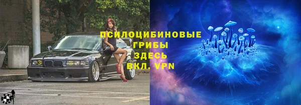 гидропоника Абаза