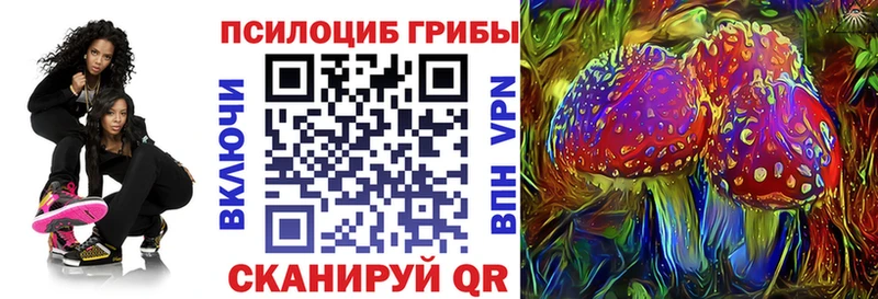 Псилоцибиновые грибы Cubensis  Анапа 