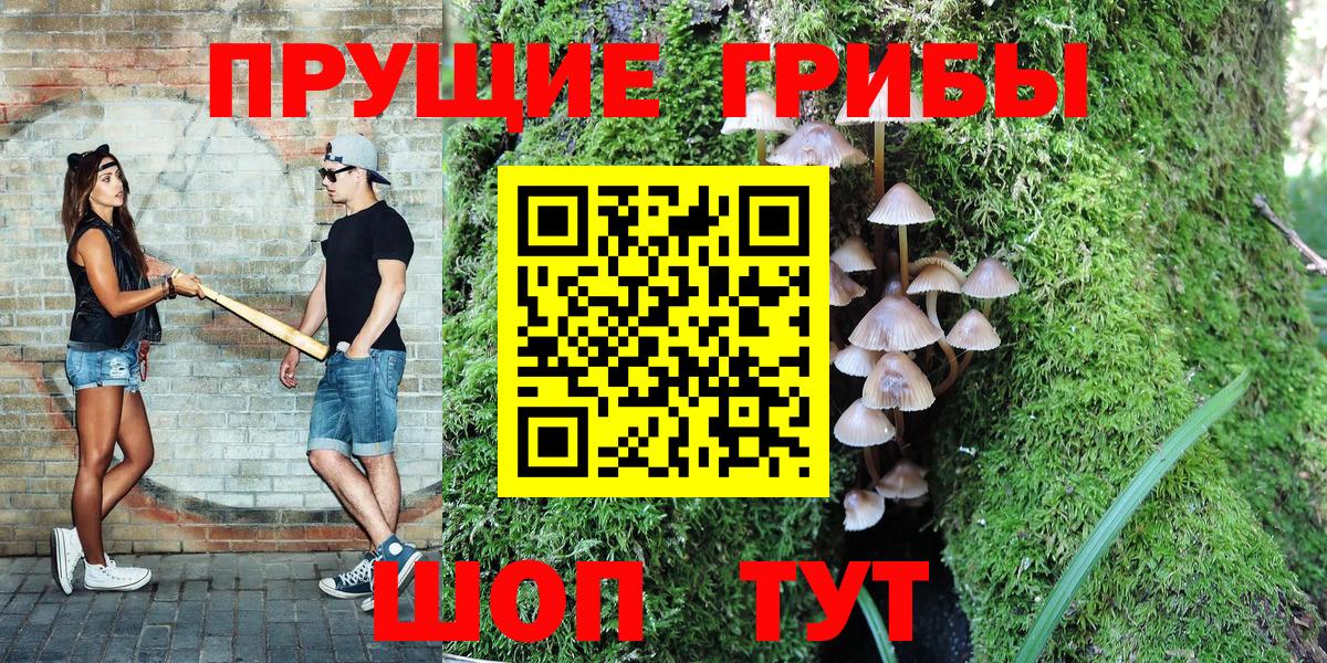 Галлюциногенные грибы Psilocybine cubensis Анапа