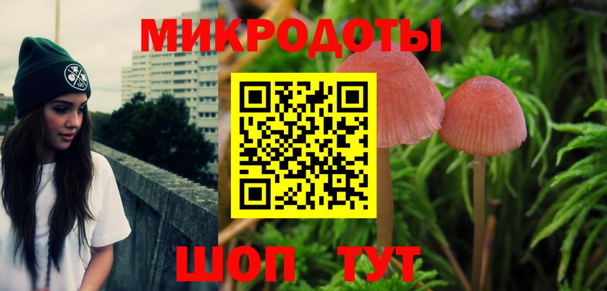 Псилоцибиновые грибы Psilocybine cubensis  Вход с VPN  Анапа 